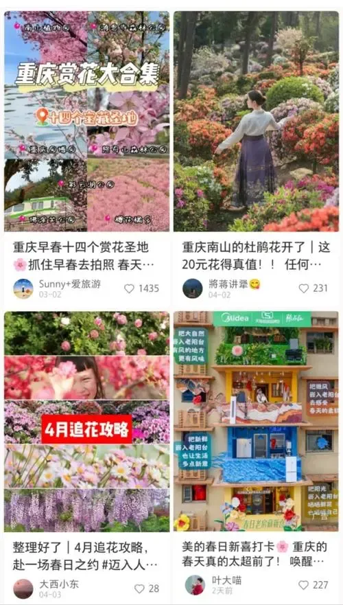 Maurice et Xiaohongshu pour les touristes chinois