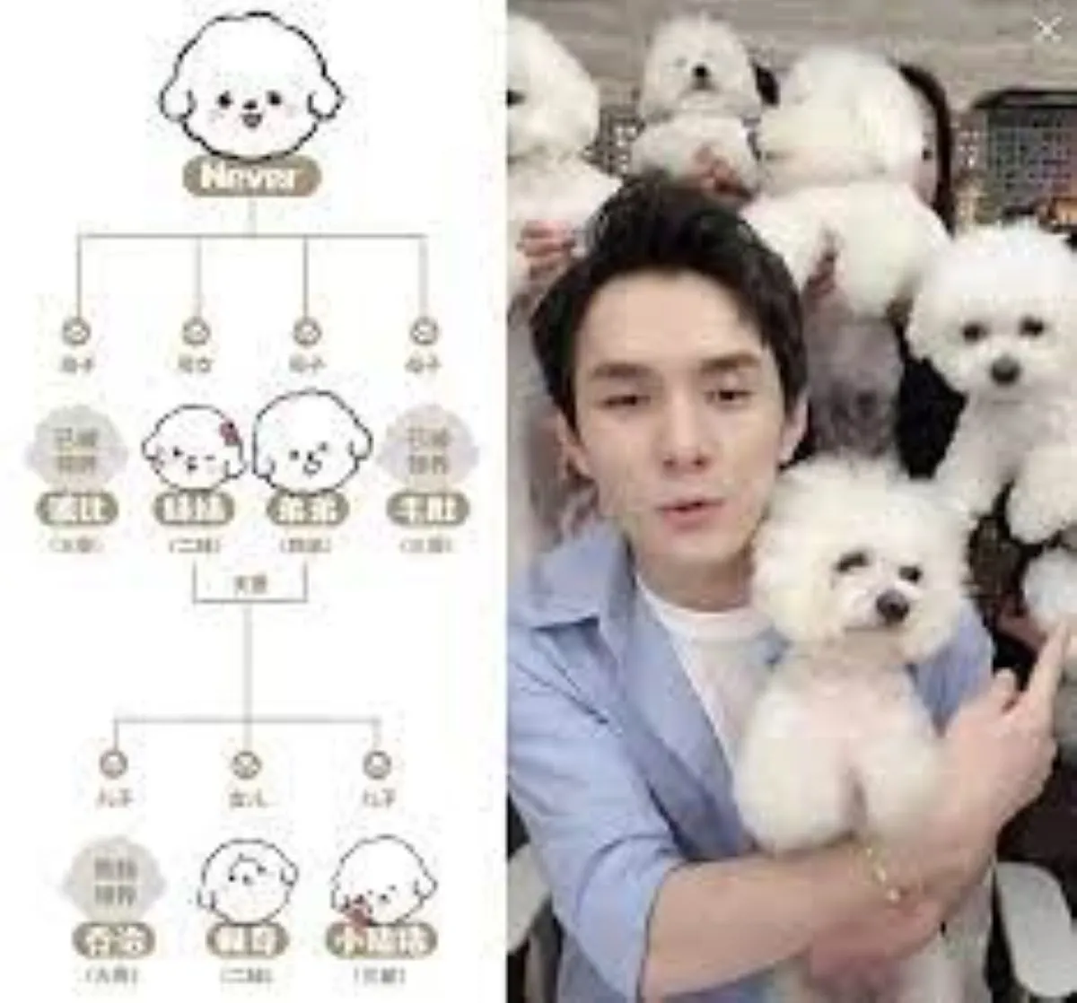 Never’s Family, la marque de Li Jiaqi
